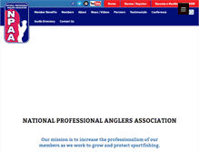 Tablet Screenshot of npaa.net